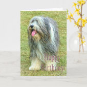 Bearded Collie Birthday Card Karte (Gelbe Blume)