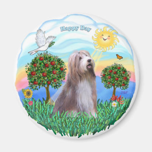 Bearded Collie (braun-weiß) Magnet