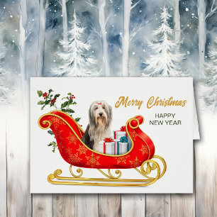 Bearded Collie Dog Christmas Sleigh Card