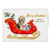 Bearded Collie Dog Christmas Sleigh Card (Vorderseite (Horizontal))
