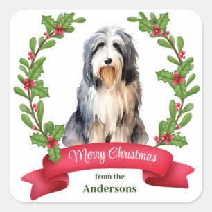 Bearded Collie Dog Holly Banner Weihnachten Quadratischer Aufkleber