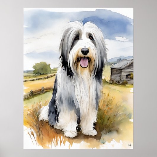 Bearded Collie - Dogenkunst drucken Poster (Vorne)