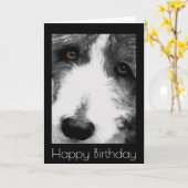 Bearded Collie Eyes Geburtstagskarte Karte (Gelbe Blume)