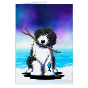 Bearded Collie Fishing