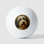 Bearded Collie Golfball (Vorderseite)