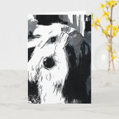 Bearded Collie Grußkarte Karte (Gelbe Blume)