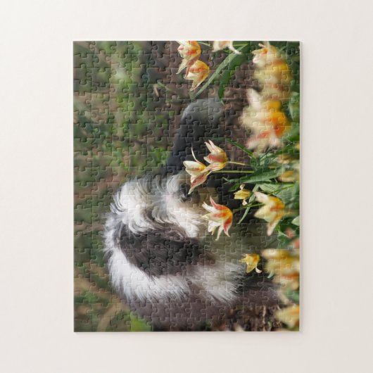 Bearded Collie im Frühling Puzzle (Vertikal)