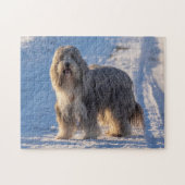 Bearded Collie in the snow Puzzle (Horizontal)