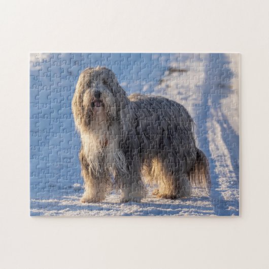 Bearded Collie in the snow Puzzle (Horizontal)
