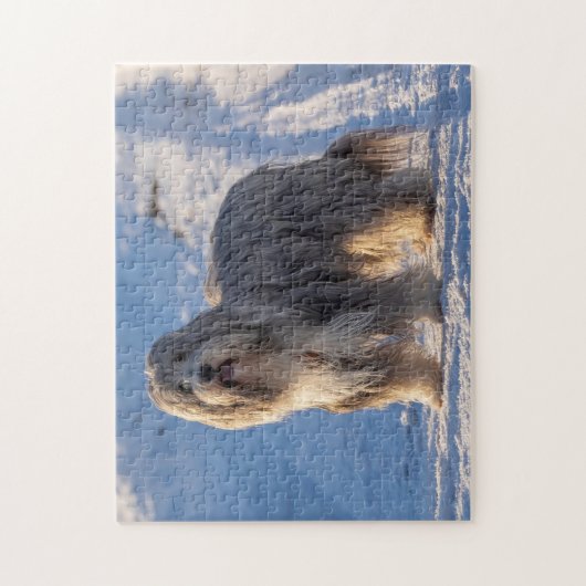 Bearded Collie in the snow Puzzle (Vertikal)