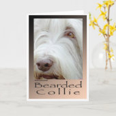 Bearded Collie Karte (Gelbe Blume)