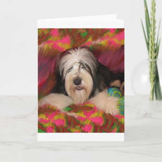 Bearded Collie Karte (Vorderseite)
