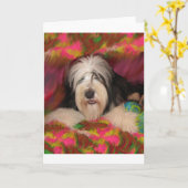 Bearded Collie Karte (Gelbe Blume)