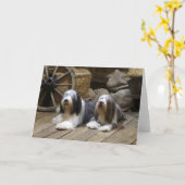 Bearded Collie Karte (Gelbe Blume)
