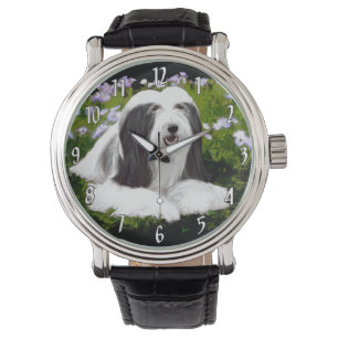 Bearded Collie Malerei - Süße originelle Hundekuns Armbanduhr