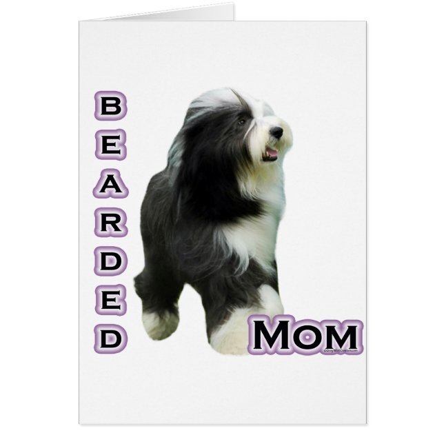 Bearded Collie Mama 4 (Vorne)