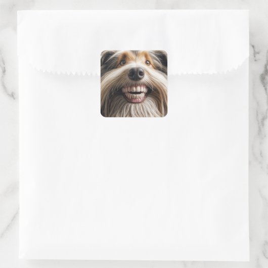 Bearded Collie mit einem Toothy Grin Quadratischer Aufkleber (Tasche)