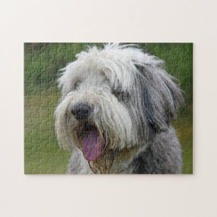 Bearded Collie mit Zunge Puzzle