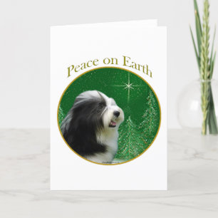 Bearded Collie Peace Feiertagskarte