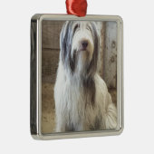 Bearded Collie Silbernes Ornament (Rechts)
