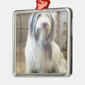 Bearded Collie Silbernes Ornament (Links)