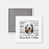 Bearded Collie T-Shirt  Magnet (Vorderseite/Rückseite)