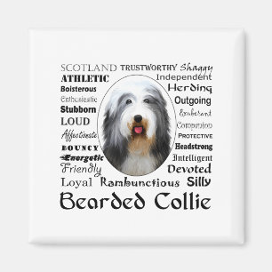 Bearded Collie T-Shirt Magnet