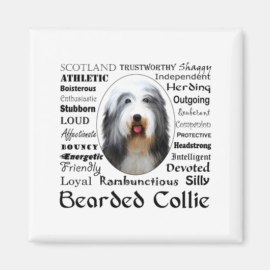 Bearded Collie T-Shirt  Magnet (Vorne)