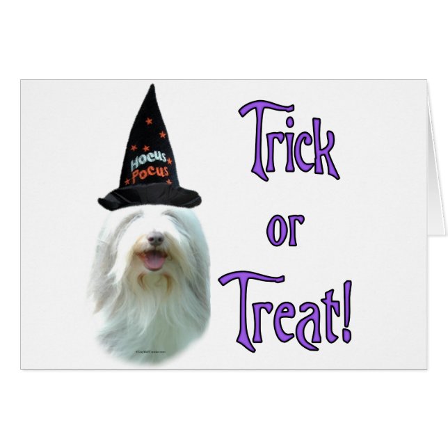 Bearded Collie Trick (Vorderseite (Horizontal))