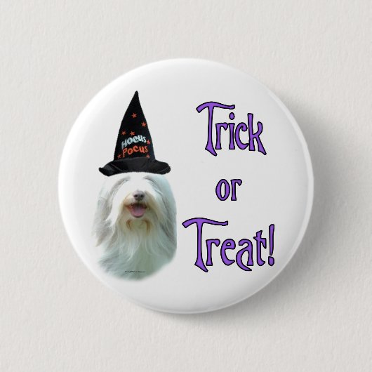 Bearded Collie Trick Button (Vorderseite)