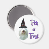 Bearded Collie Trick Magnet (Vorderseite/Rückseite)