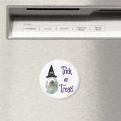 Bearded Collie Trick Magnet (In Situ (Geschirrspüler))