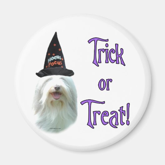Bearded Collie Trick Magnet (Vorne)