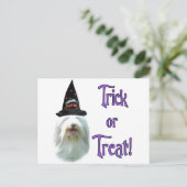 Bearded Collie Trick Postkarte (Stehend Vorderseite)