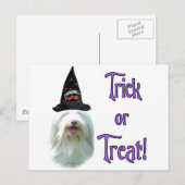 Bearded Collie Trick Postkarte (Vorne/Hinten)