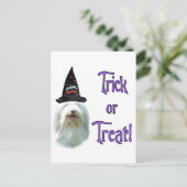 Bearded Collie Trick Postkarte (Stehend Vorderseite)