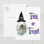 Bearded Collie Trick Postkarte (Vorne/Hinten)