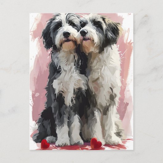 Bearded Collie Valentine Postkarte (Vorderseite)