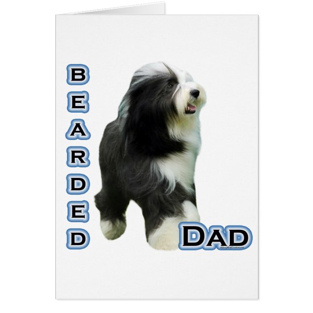 Bearded Collie Vater 4 (Vorne)