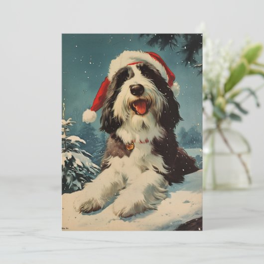 Bearded Collie Weihnachten (Stehend Vorderseite)