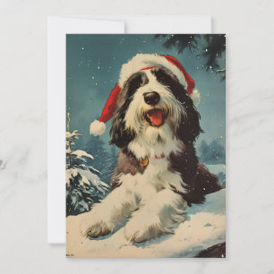 Bearded Collie Weihnachten
