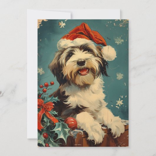 Bearded Collie Weihnachten (Vorderseite)