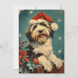 Bearded Collie Weihnachten
