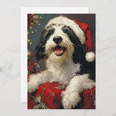Bearded Collie Weihnachten (Vorne/Hinten)