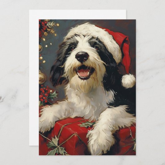 Bearded Collie Weihnachten (Vorne/Hinten)
