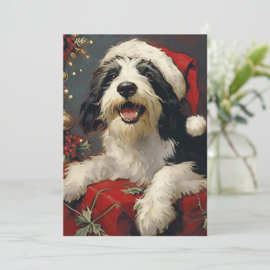 Bearded Collie Weihnachten (Stehend Vorderseite)