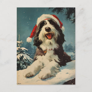 Bearded Collie Weihnachten Postkarte