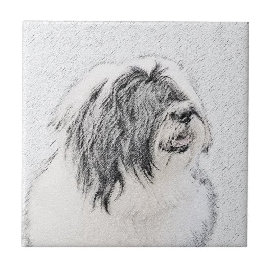 Bearded Collie Zeichnend - Niedliche Original Hund Fliese (Vorderseite)