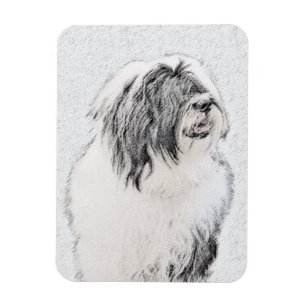 Bearded Collie Zeichnend - Niedliche Original Hund Magnet