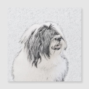 Bearded Collie Zeichnend - Niedliche Original Hund Magnetkarte